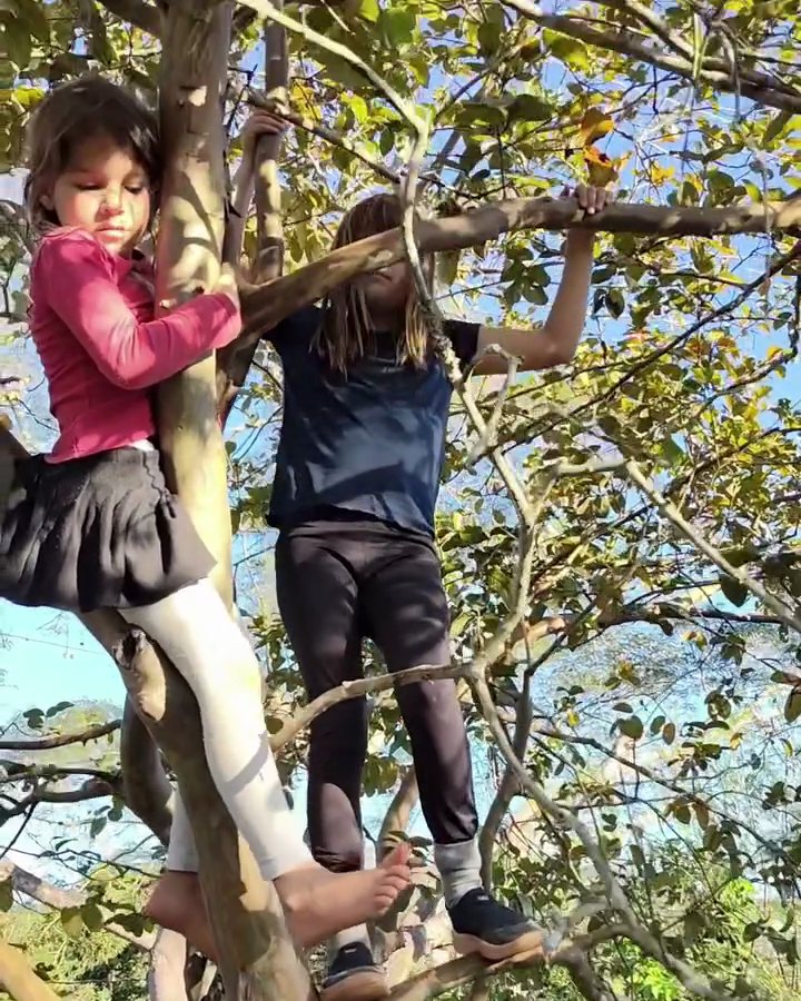 Meninas subindo em uma árvore no Quintal